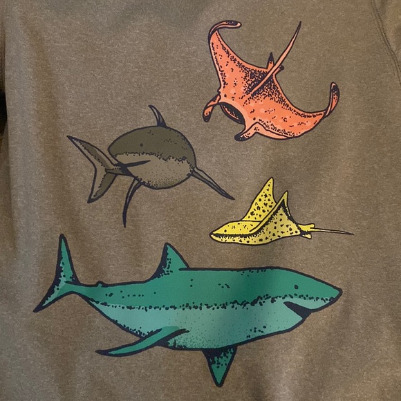 Cat and Jack Brand 3T Heather Grey Shark Rash Guard Swim Shirt - Picture 2 of 3